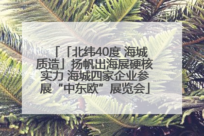 「北纬40度 海城质造」扬帆出海展硬核实力 海城四家企业参展“中东欧”展览会