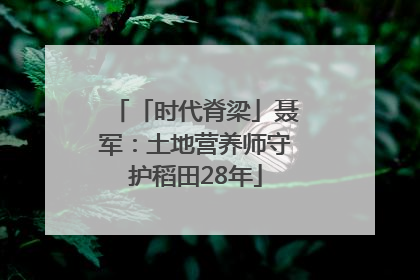 「时代脊梁」聂军：土地营养师守护稻田28年