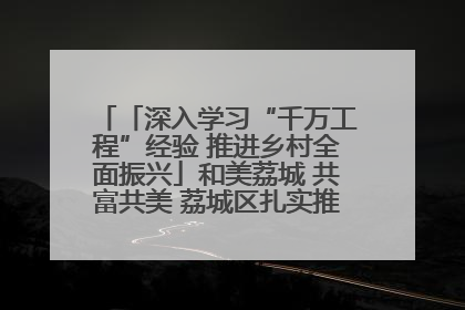 「深入学习“千万工程”经验 推进乡村全面振兴」和美荔城 共富共美 荔城区扎实推进乡村振兴工作
