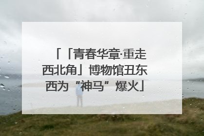 「青春华章·重走西北角」博物馆丑东西为“神马”爆火
