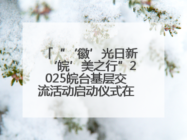 “‘徽’光日新‘皖’美之行”2025皖台基层交流活动启动仪式在芜举行