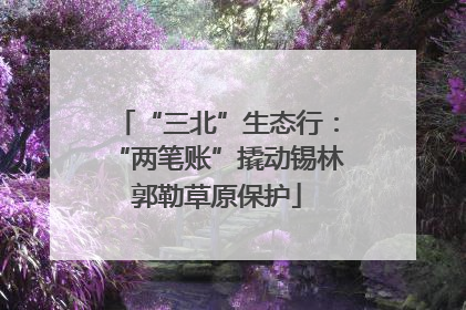 “三北”生态行：“两笔账”撬动锡林郭勒草原保护