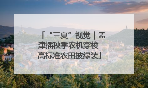 “三夏”视觉｜孟津插秧季农机穿梭 高标准农田披绿装