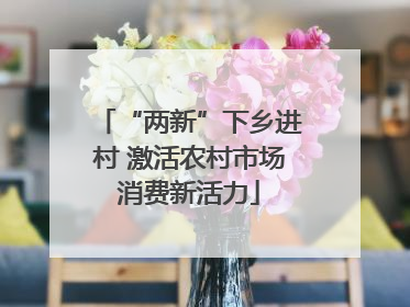 “两新”下乡进村 激活农村市场消费新活力