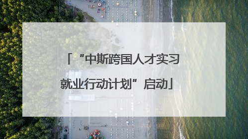 “中斯跨国人才实习就业行动计划”启动