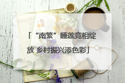“南繁”睡莲竞相绽放 乡村振兴添色彩