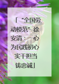 “全国劳动模范”徐安清：一心为民践初心 实干担当铸忠诚