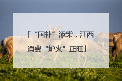 “国补”添柴，江西消费“炉火”正旺