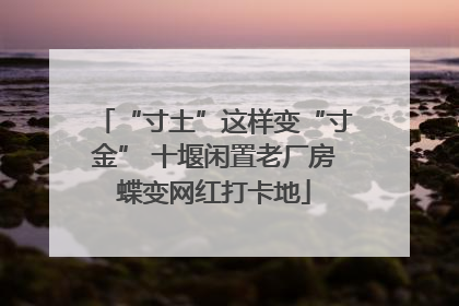 “寸土”这样变“寸金” 十堰闲置老厂房蝶变网红打卡地