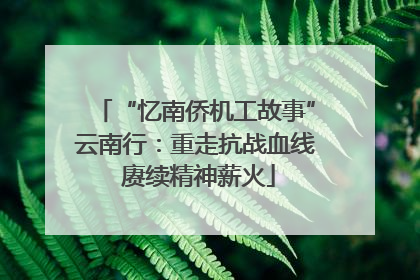 “忆南侨机工故事”云南行：重走抗战血线 赓续精神薪火