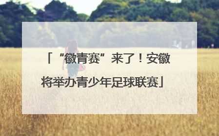 “徽青赛”来了！安徽将举办青少年足球联赛