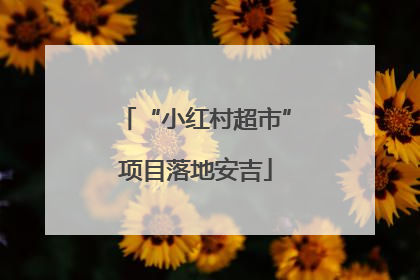 “小红村超市”项目落地安吉