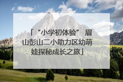“小学初体验” 眉山彭山二小助力区幼萌娃探秘成长之旅