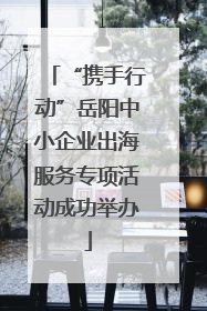 “携手行动”岳阳中小企业出海服务专项活动成功举办