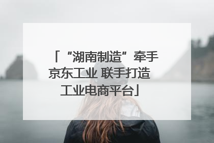 “湖南制造”牵手京东工业 联手打造工业电商平台