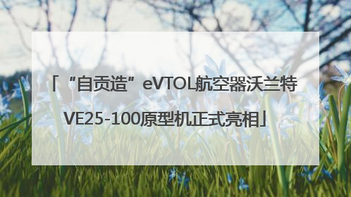 “自贡造”eVTOL航空器沃兰特VE25-100原型机正式亮相