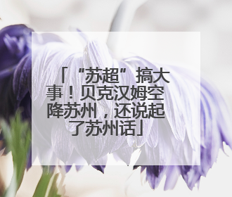 “苏超”搞大事！贝克汉姆空降苏州，还说起了苏州话