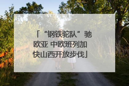 “钢铁驼队”驰欧亚 中欧班列加快山西开放步伐