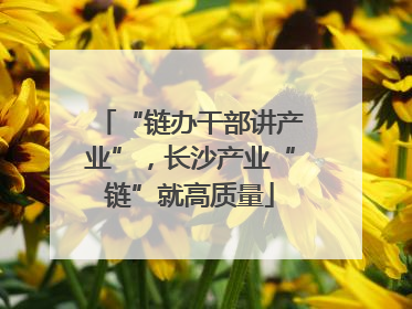 “链办干部讲产业”，长沙产业“链”就高质量