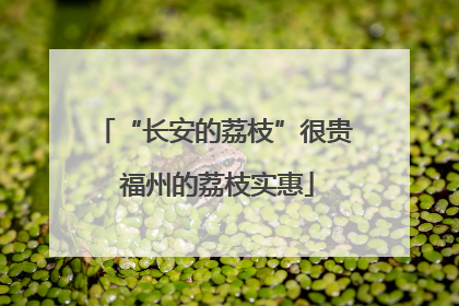 “长安的荔枝”很贵 福州的荔枝实惠
