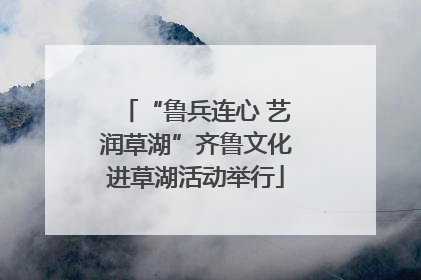 “鲁兵连心 艺润草湖”齐鲁文化进草湖活动举行