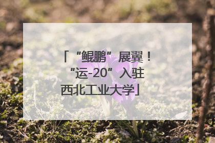 “鲲鹏”展翼！“运-20”入驻西北工业大学
