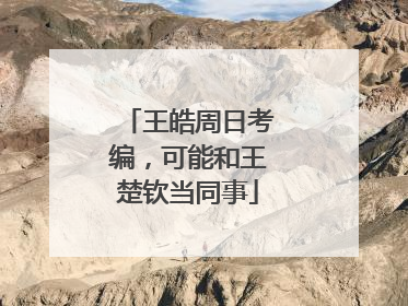 王皓周日考编，可能和王楚钦当同事