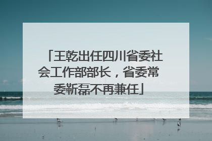 王乾出任四川省委社会工作部部长，省委常委靳磊不再兼任
