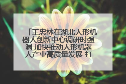 王忠林在湖北人形机器人创新中心调研时强调 加快推动人形机器人产业高质量发展 打造具有全国影响力的研发创新基地