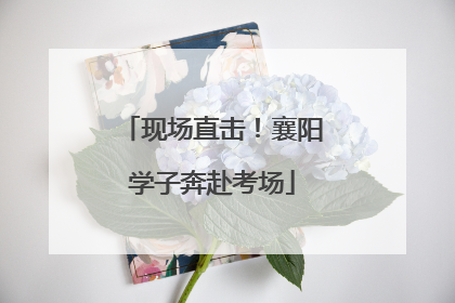 现场直击！襄阳学子奔赴考场