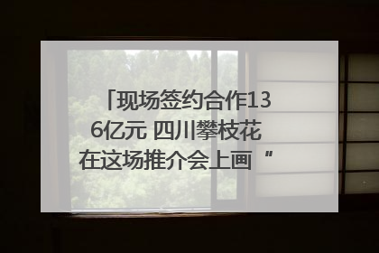 现场签约合作136亿元 四川攀枝花在这场推介会上画“图谱”列“清单”