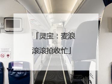 灵宝：麦浪滚滚抢收忙