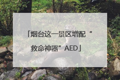 烟台这一景区增配“救命神器”AED