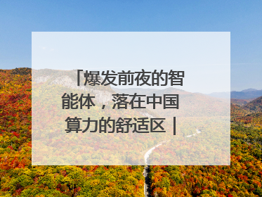 爆发前夜的智能体，落在中国算力的舒适区｜海斌访谈