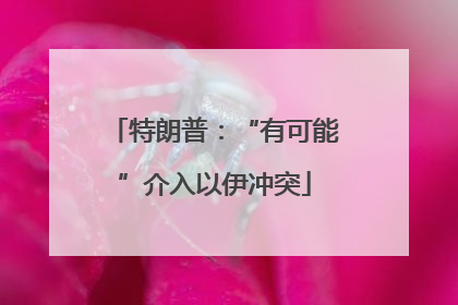 特朗普：“有可能”介入以伊冲突