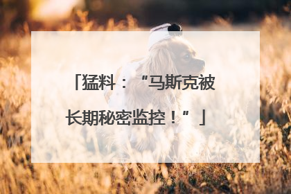 猛料：“马斯克被长期秘密监控！”