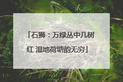 石狮：万绿丛中几树红 湿地荷塘韵无穷