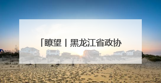 瞭望丨黑龙江省政协精准助力企业纾困