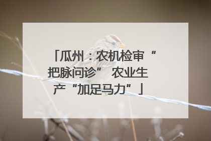 瓜州：农机检审“把脉问诊” 农业生产“加足马力”