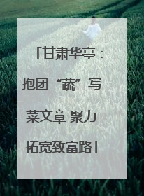 甘肃华亭：抱团“蔬”写菜文章 聚力拓宽致富路