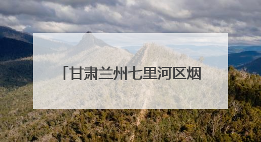 甘肃兰州七里河区烟草：深耕廉洁土壤 劲扬“丝路清风”