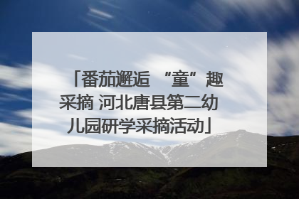 番茄邂逅 “童”趣采摘 河北唐县第二幼儿园研学采摘活动