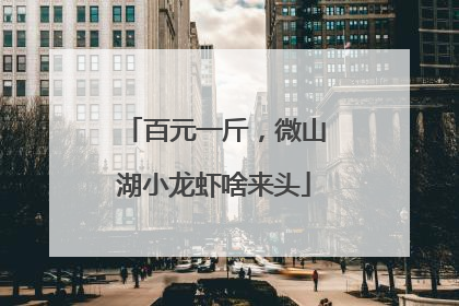百元一斤，微山湖小龙虾啥来头