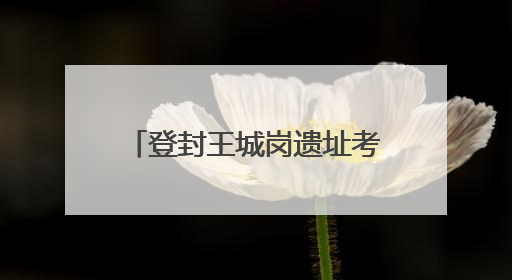 登封王城岗遗址考古发掘最新发现