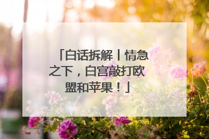 白话拆解丨情急之下，白宫敲打欧盟和苹果！