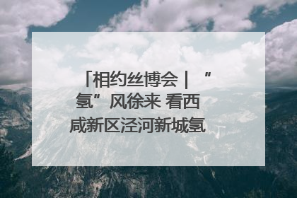 相约丝博会｜“氢”风徐来 看西咸新区泾河新城氢能产业聚链成势