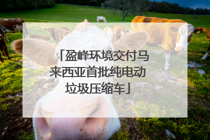 盈峰环境交付马来西亚首批纯电动垃圾压缩车