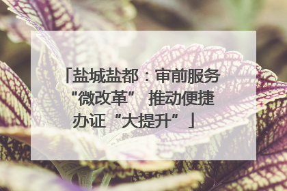 盐城盐都：审前服务“微改革” 推动便捷办证“大提升”