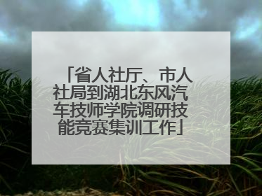 省人社厅、市人社局到湖北东风汽车技师学院调研技能竞赛集训工作
