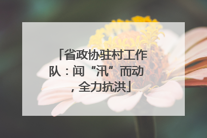 省政协驻村工作队：闻“汛”而动，全力抗洪